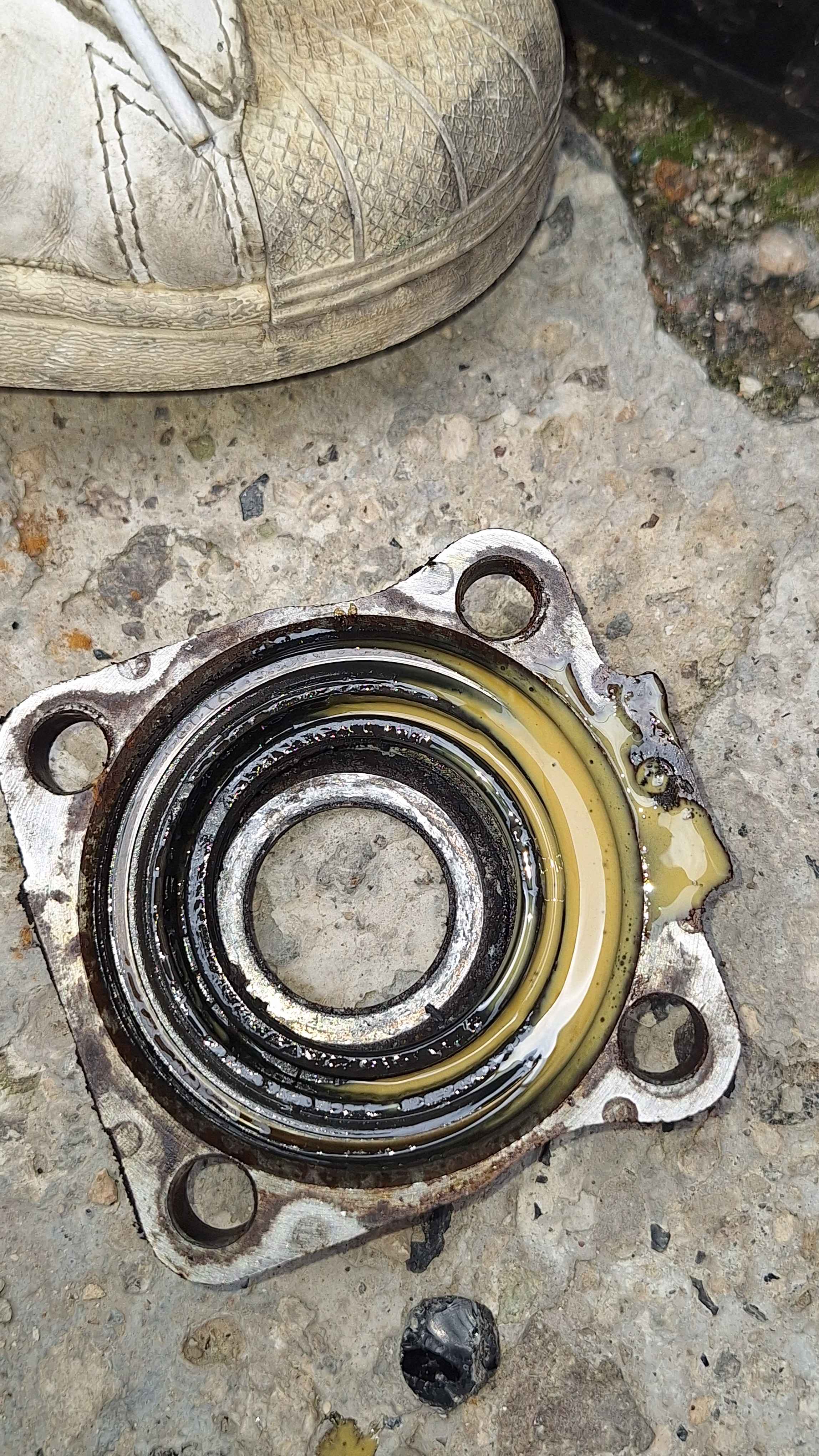 Ret&eacute;n y conjunto de rueda trasera de Volkswagen Sed&aacute;n 1983
