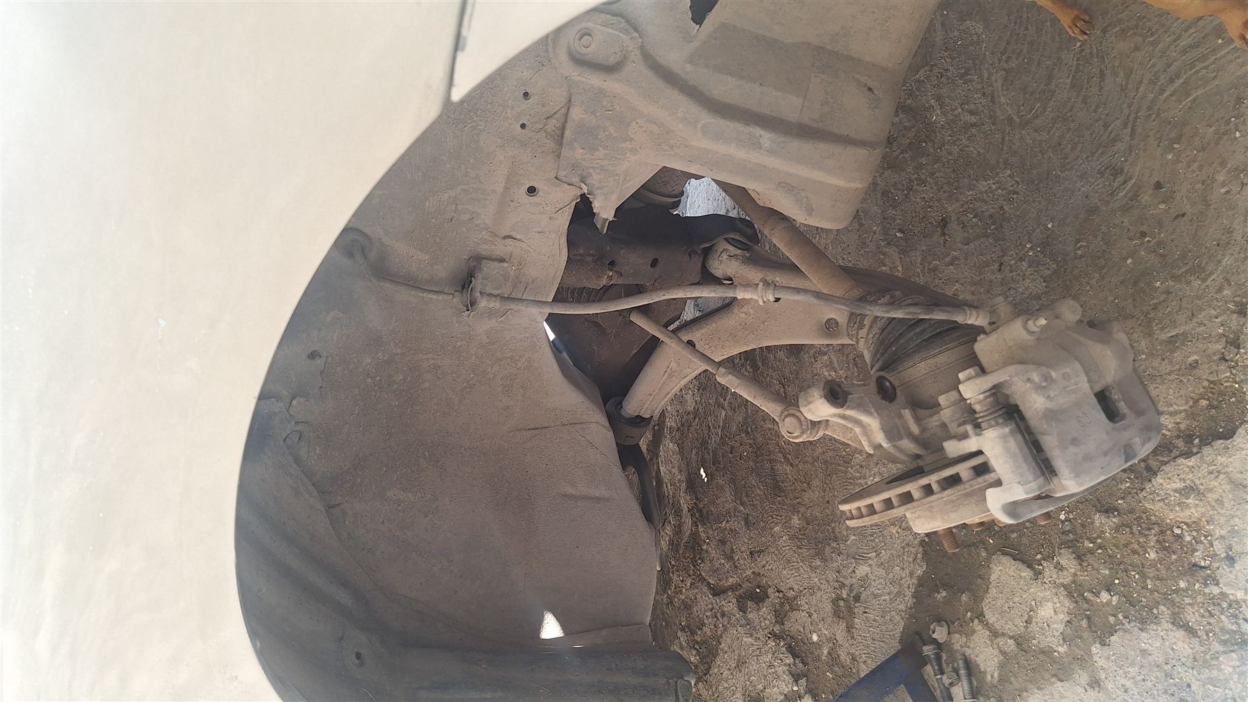 Amortiguador delantero desmontado de Nissan Sentra 2004